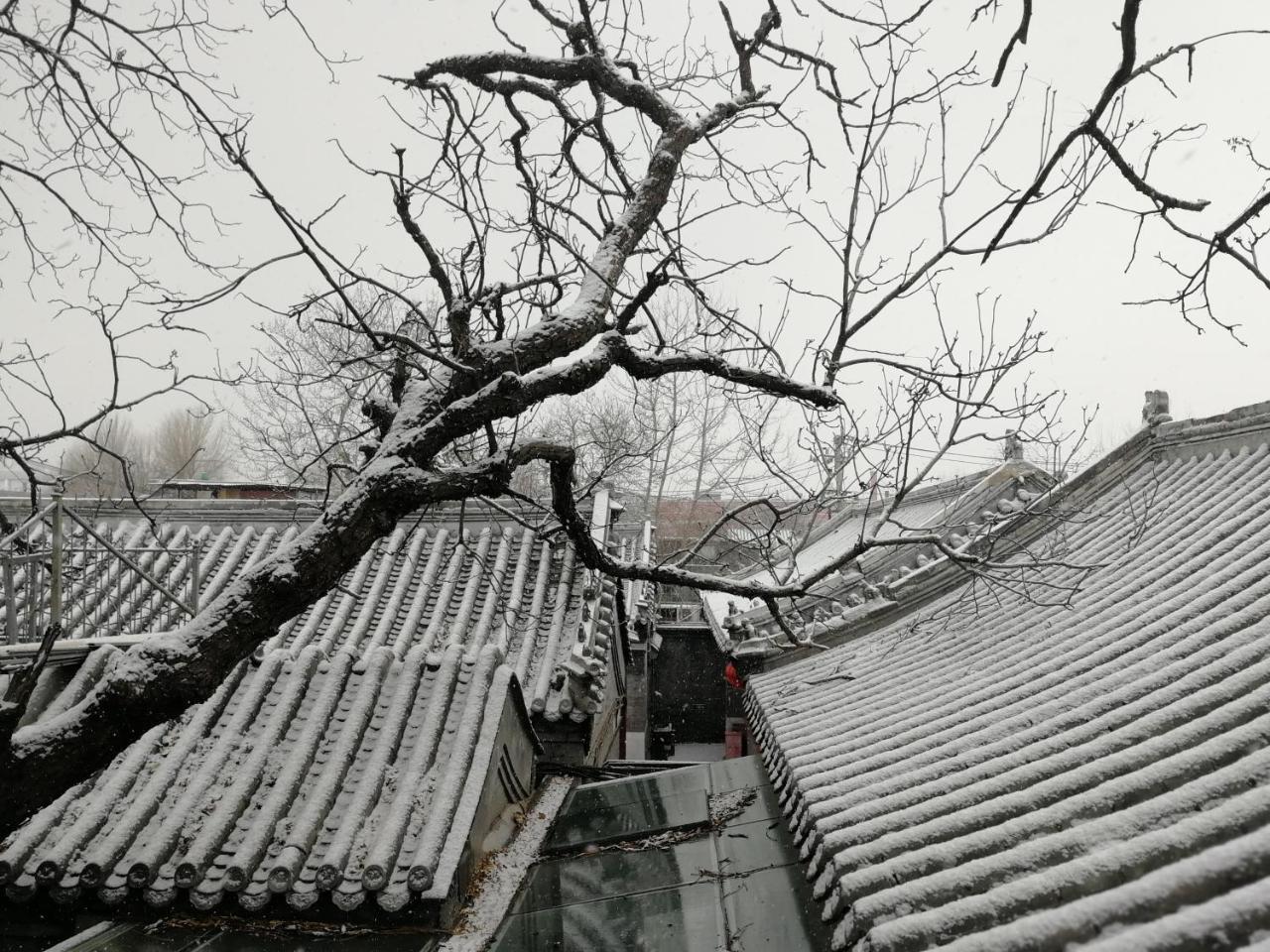 Beijing Fly By Knight Courtyard Hotel Kültér fotó